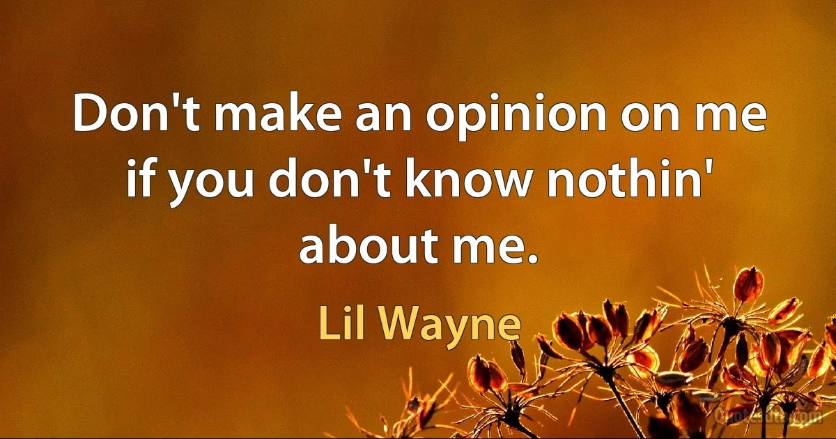 Don't make an opinion on me if you don't know nothin' about me. (Lil Wayne)