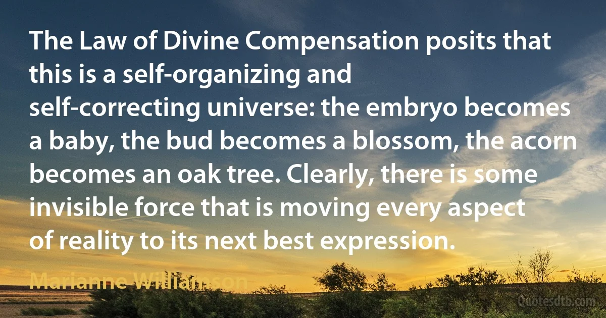 The Law of Divine Compensation posits that this is a self-organizing and self-correcting universe: the embryo becomes a baby, the bud becomes a blossom, the acorn becomes an oak tree. Clearly, there is some invisible force that is moving every aspect of reality to its next best expression. (Marianne Williamson)