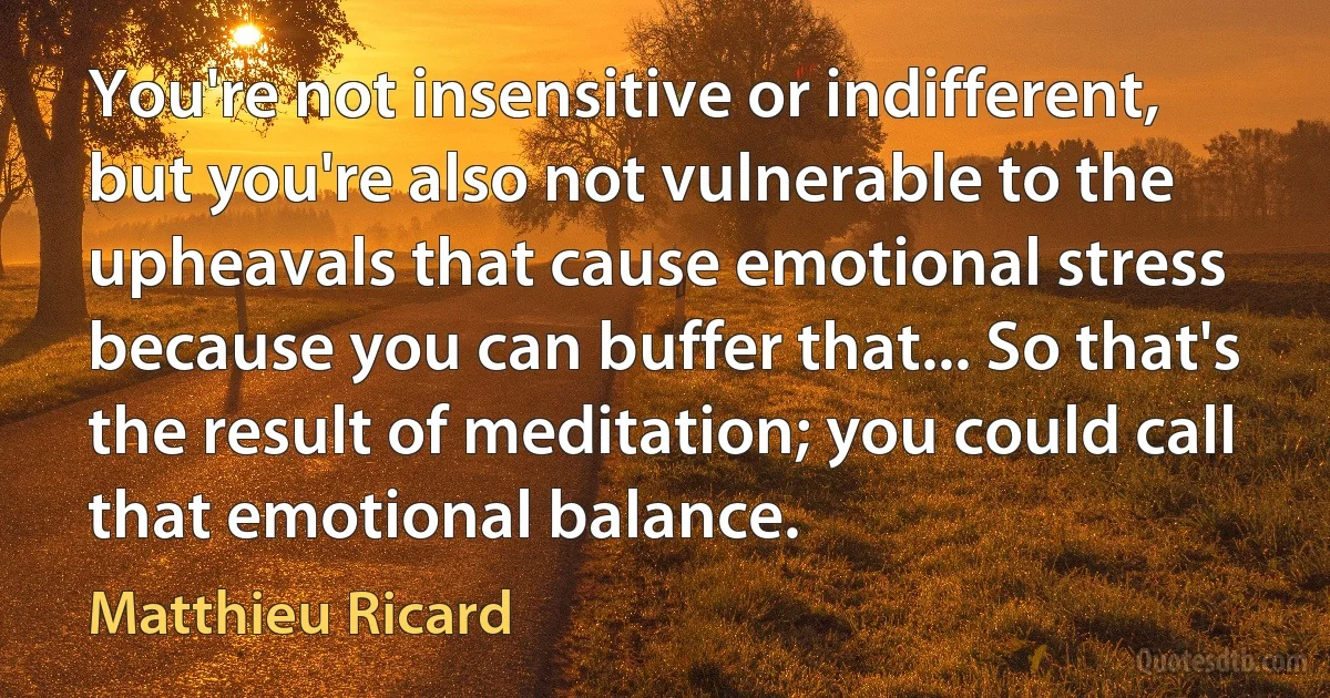 You're not insensitive or indifferent, but you're also not vulnerable to the upheavals that cause emotional stress because you can buffer that... So that's the result of meditation; you could call that emotional balance. (Matthieu Ricard)