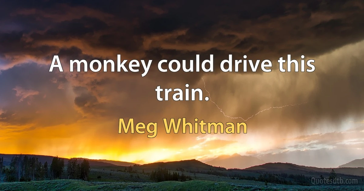 A monkey could drive this train. (Meg Whitman)