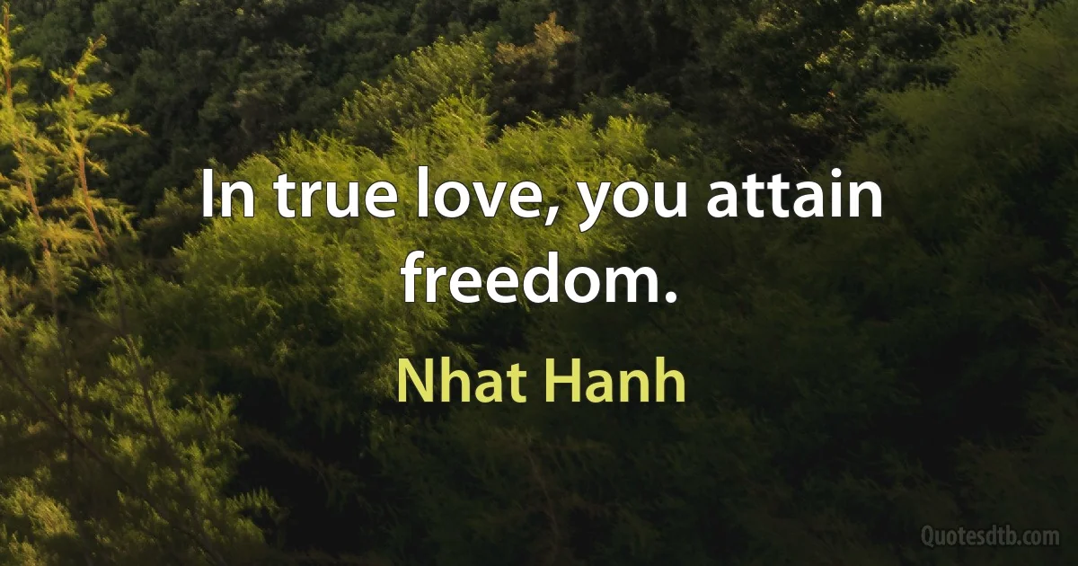 In true love, you attain freedom. (Nhat Hanh)