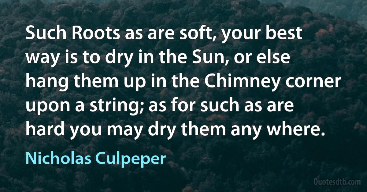 Such Roots as are soft, your best way is to dry in the Sun, or else hang them up in the Chimney corner upon a string; as for such as are hard you may dry them any where. (Nicholas Culpeper)