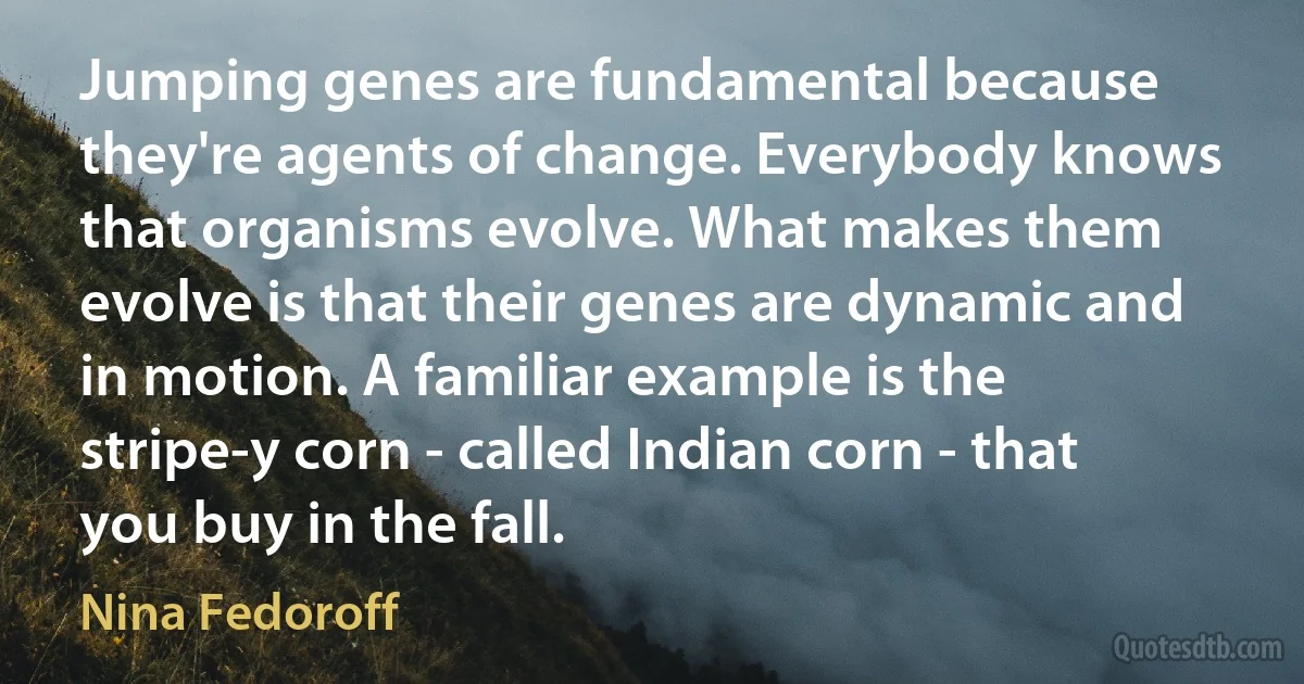 Jumping genes are fundamental because they're agents of change. Everybody knows that organisms evolve. What makes them evolve is that their genes are dynamic and in motion. A familiar example is the stripe-y corn - called Indian corn - that you buy in the fall. (Nina Fedoroff)