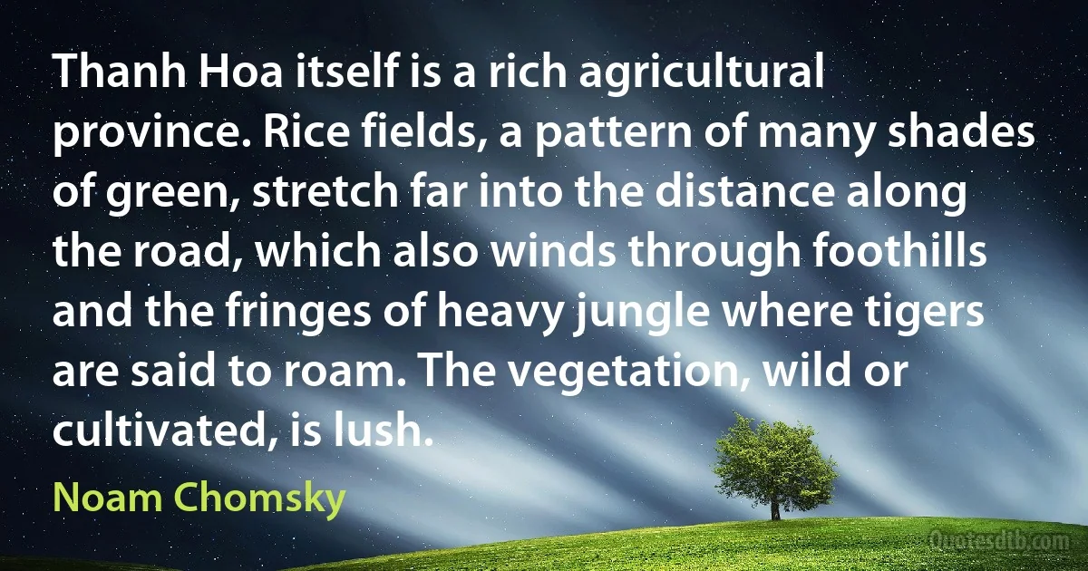 Thanh Hoa itself is a rich agricultural province. Rice fields, a pattern of many shades of green, stretch far into the distance along the road, which also winds through foothills and the fringes of heavy jungle where tigers are said to roam. The vegetation, wild or cultivated, is lush. (Noam Chomsky)