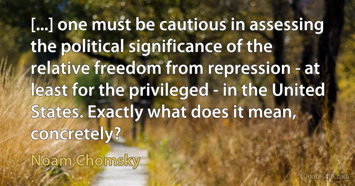 [...] one must be cautious in assessing the political significance of the relative freedom from repression - at least for the privileged - in the United States. Exactly what does it mean, concretely? (Noam Chomsky)