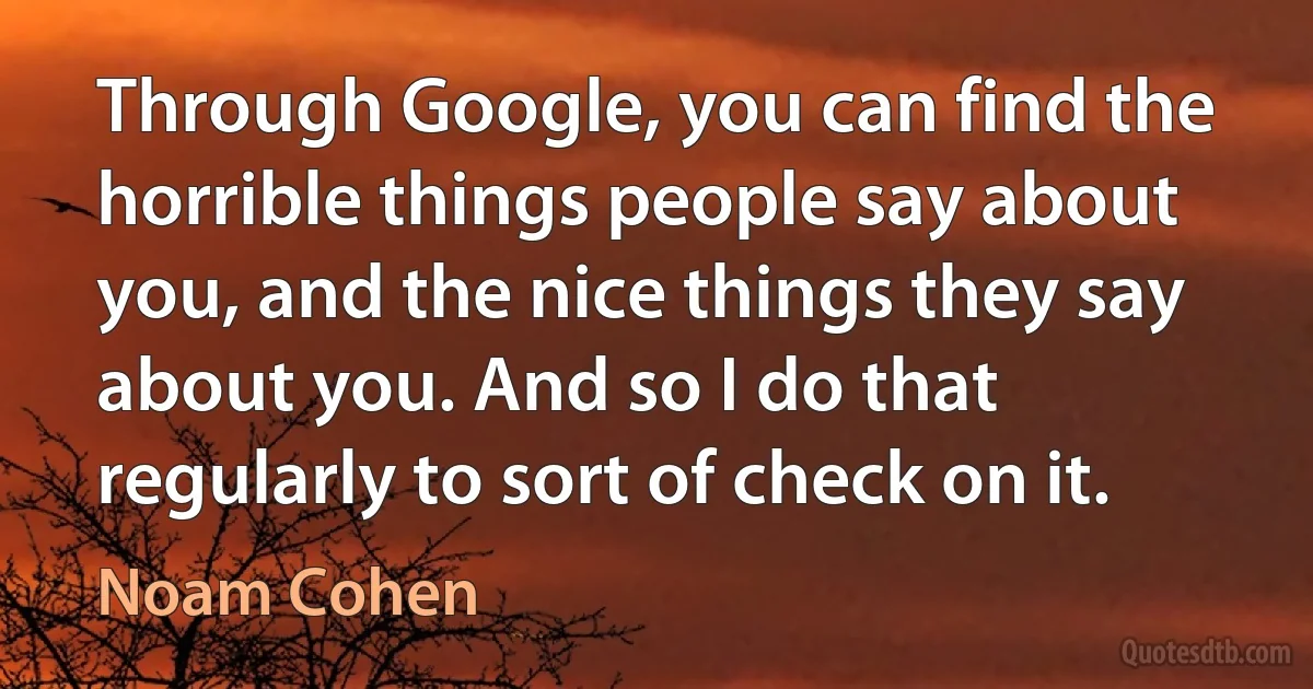 Through Google, you can find the horrible things people say about you, and the nice things they say about you. And so I do that regularly to sort of check on it. (Noam Cohen)