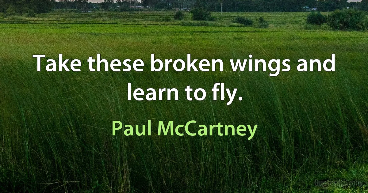 Take these broken wings and learn to fly. (Paul McCartney)