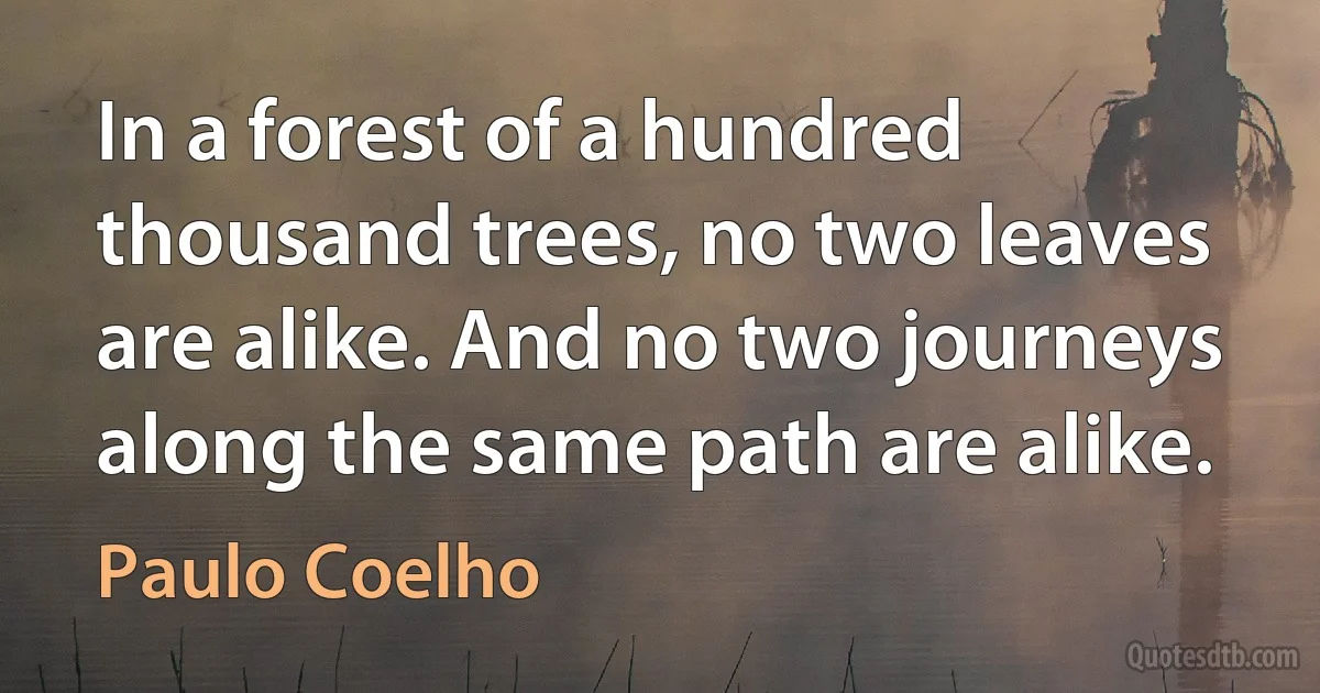 In a forest of a hundred thousand trees, no two leaves are alike. And no two journeys along the same path are alike. (Paulo Coelho)