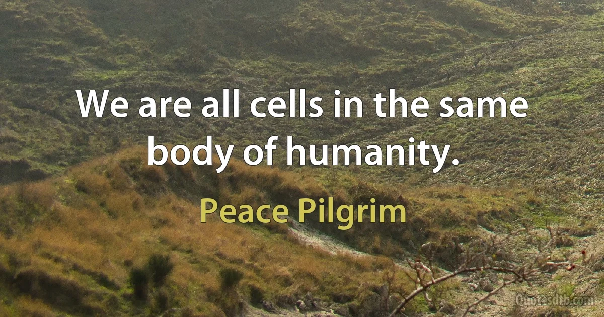 We are all cells in the same body of humanity. (Peace Pilgrim)