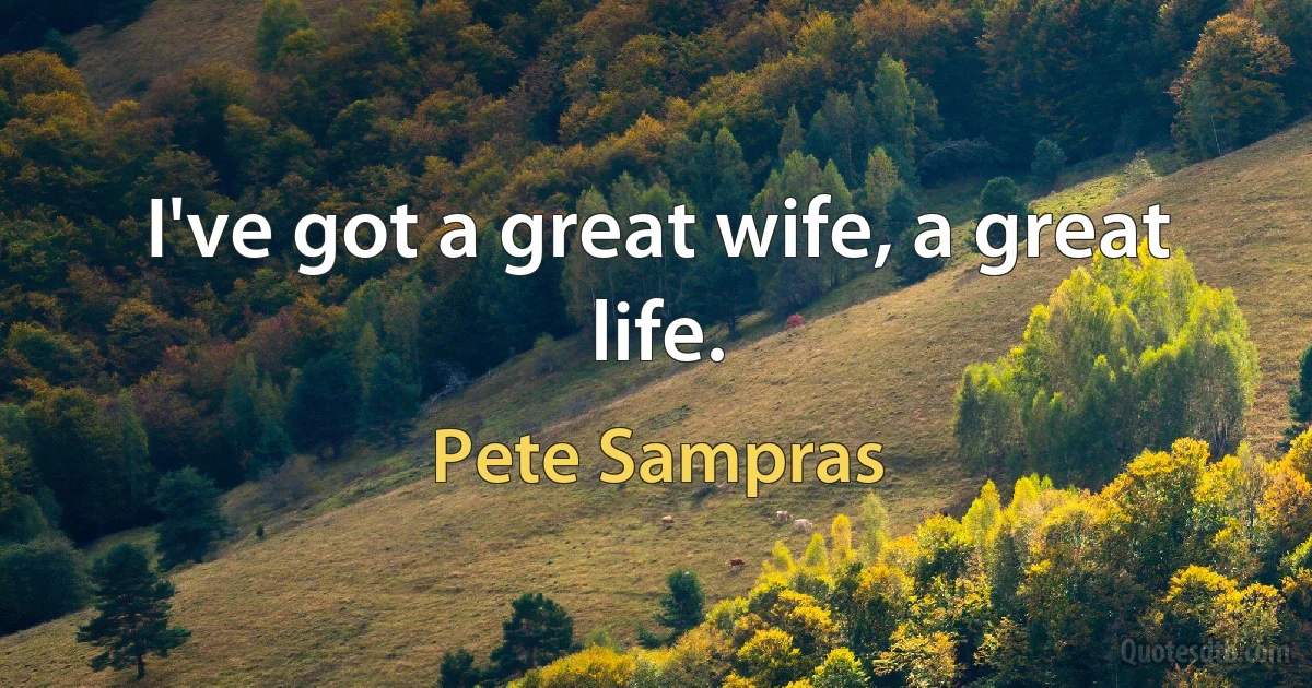 I've got a great wife, a great life. (Pete Sampras)