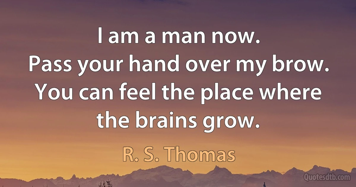 I am a man now.
Pass your hand over my brow.
You can feel the place where the brains grow. (R. S. Thomas)