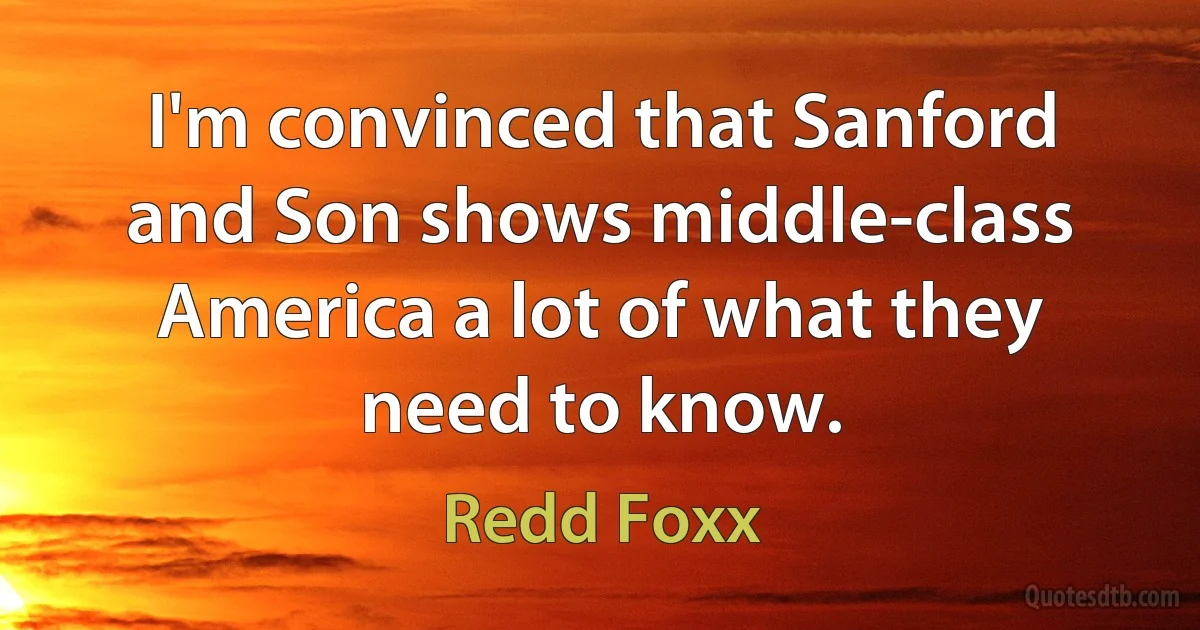 I'm convinced that Sanford and Son shows middle-class America a lot of what they need to know. (Redd Foxx)