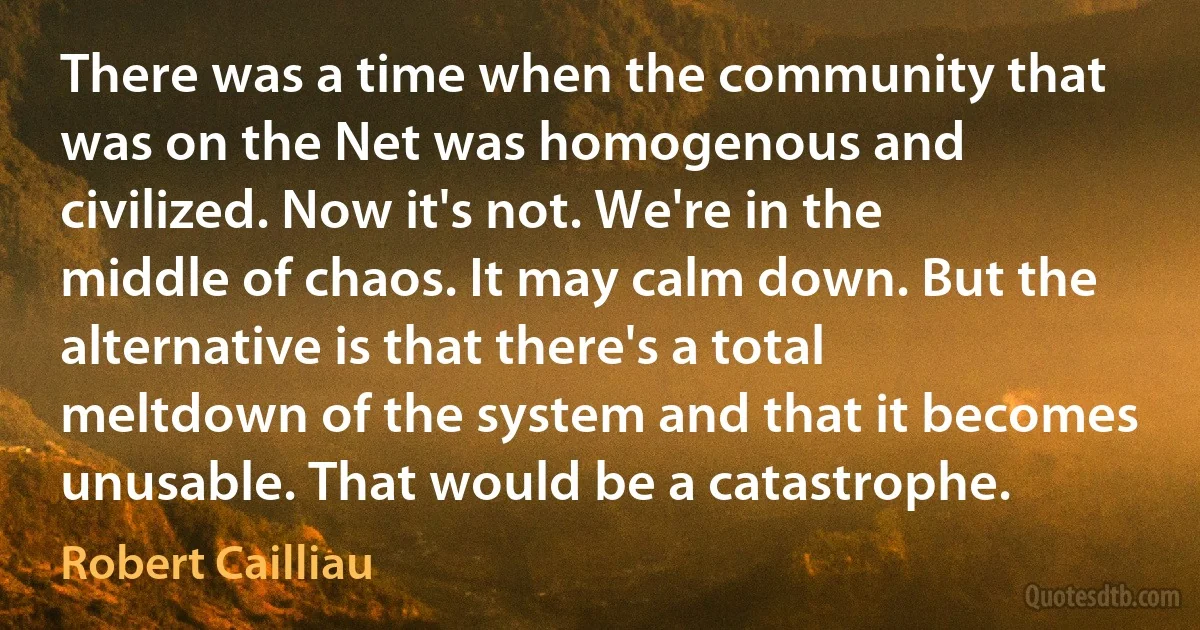 There was a time when the community that was on the Net was homogenous and civilized. Now it's not. We're in the middle of chaos. It may calm down. But the alternative is that there's a total meltdown of the system and that it becomes unusable. That would be a catastrophe. (Robert Cailliau)