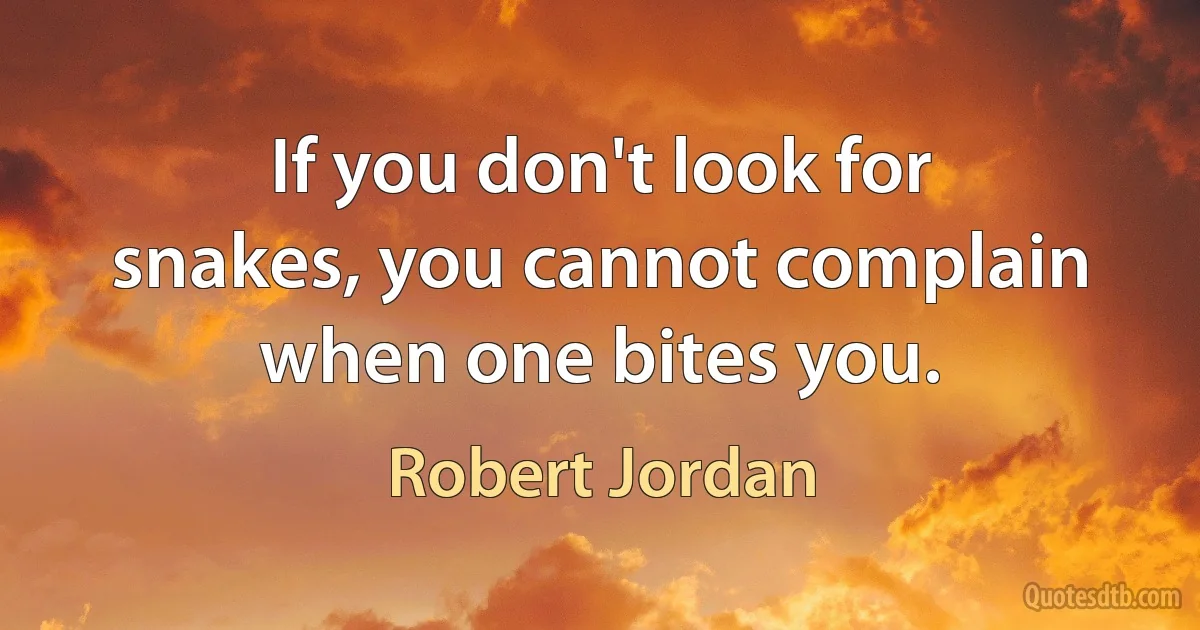 If you don't look for snakes, you cannot complain when one bites you. (Robert Jordan)