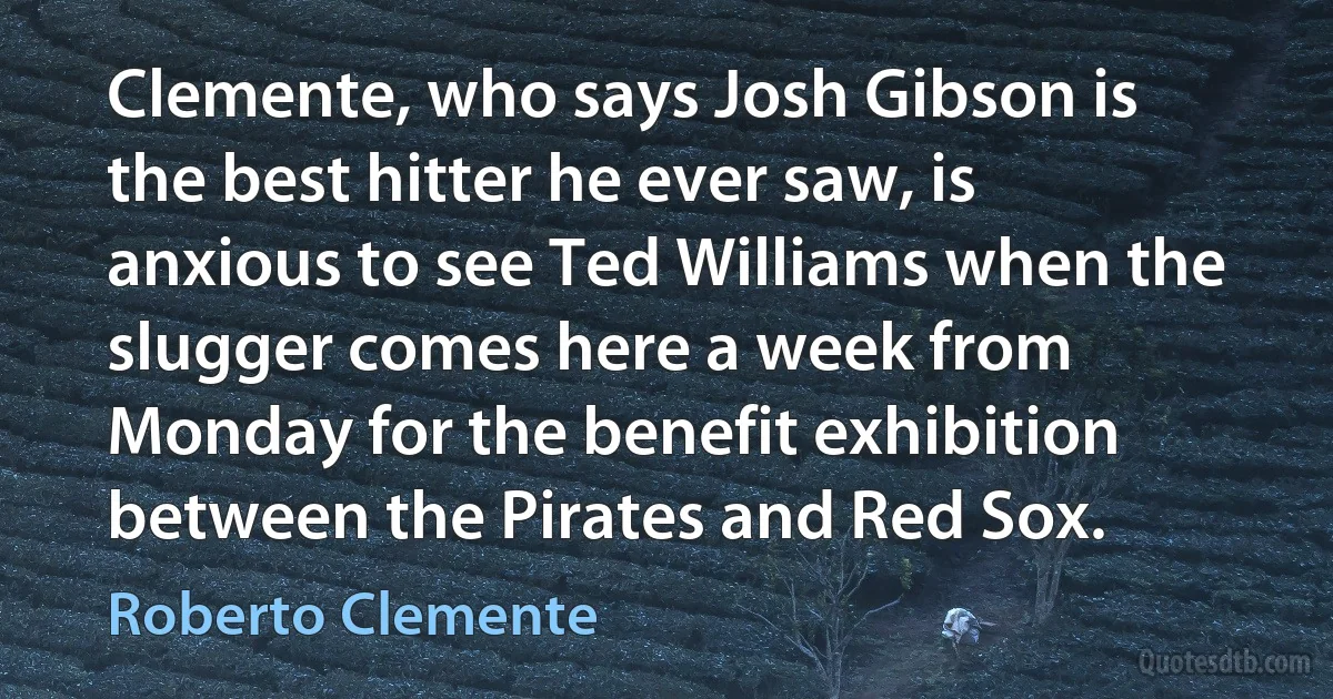 Clemente, who says Josh Gibson is the best hitter he ever saw, is anxious to see Ted Williams when the slugger comes here a week from Monday for the benefit exhibition between the Pirates and Red Sox. (Roberto Clemente)