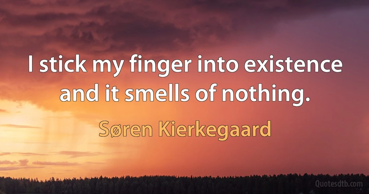 I stick my finger into existence and it smells of nothing. (Søren Kierkegaard)