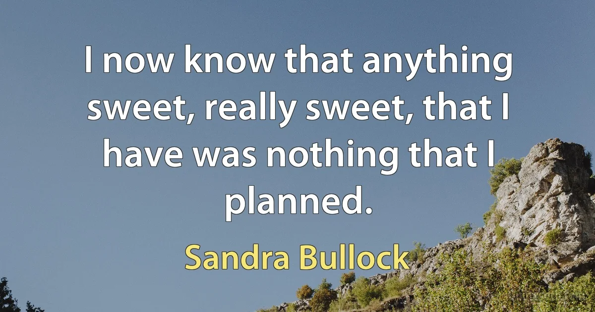 I now know that anything sweet, really sweet, that I have was nothing that I planned. (Sandra Bullock)