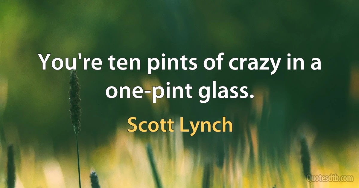 You're ten pints of crazy in a one-pint glass. (Scott Lynch)