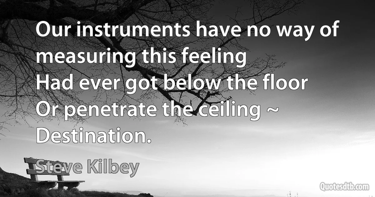 Our instruments have no way of measuring this feeling
Had ever got below the floor
Or penetrate the ceiling ~ Destination. (Steve Kilbey)