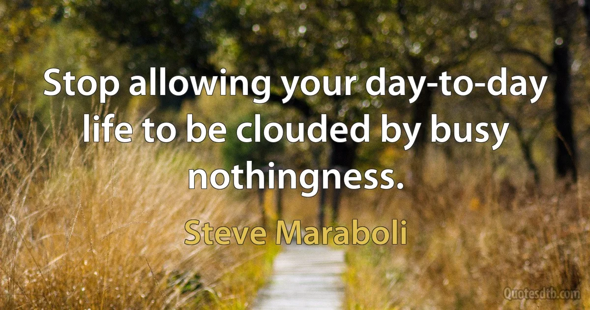 Stop allowing your day-to-day life to be clouded by busy nothingness. (Steve Maraboli)