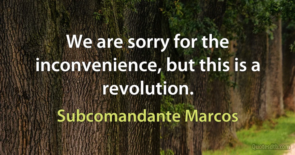 We are sorry for the inconvenience, but this is a revolution. (Subcomandante Marcos)