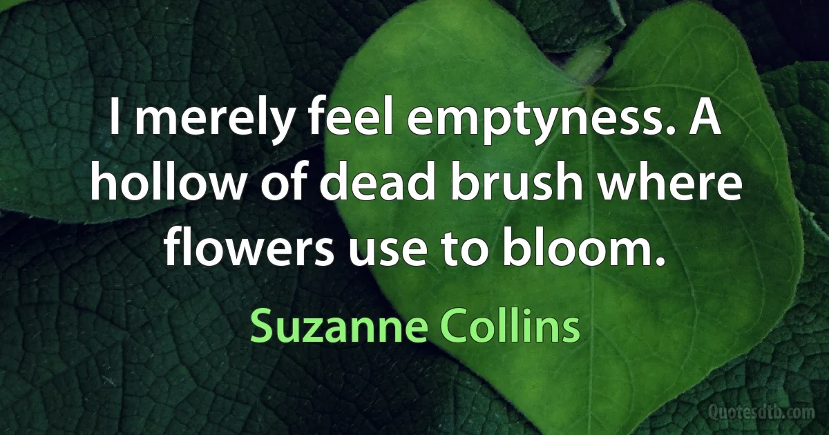 I merely feel emptyness. A hollow of dead brush where flowers use to bloom. (Suzanne Collins)