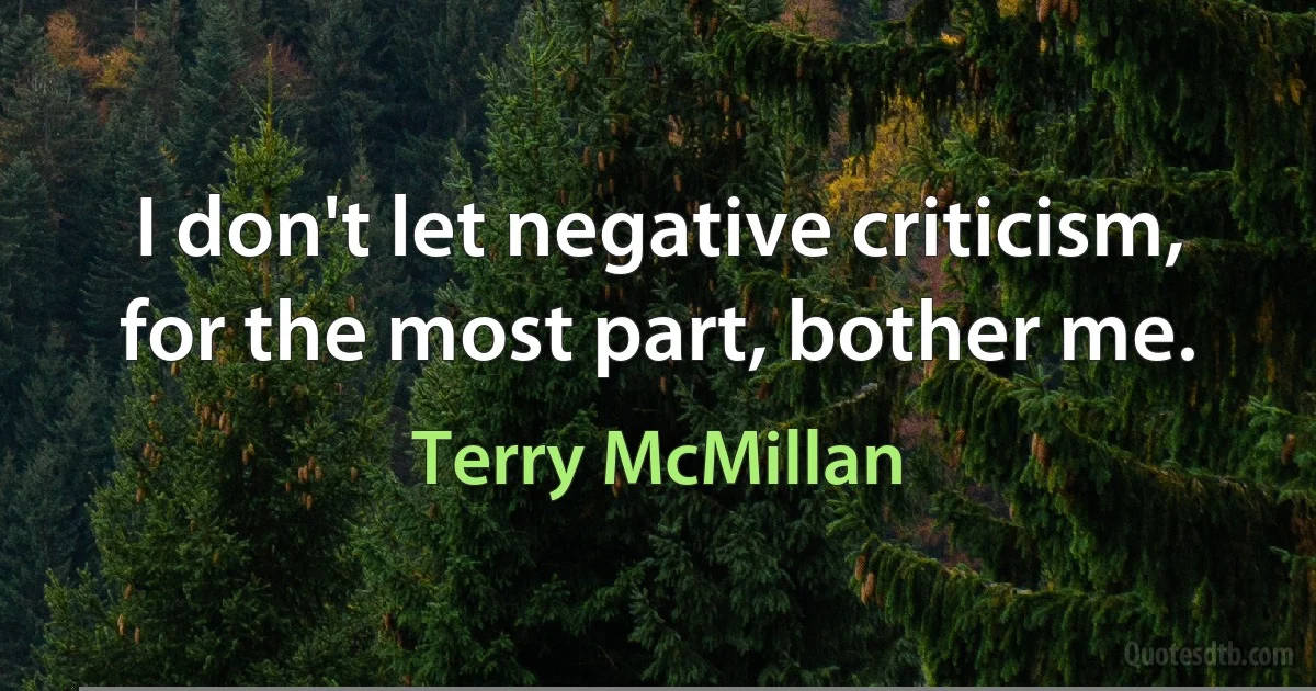 I don't let negative criticism, for the most part, bother me. (Terry McMillan)