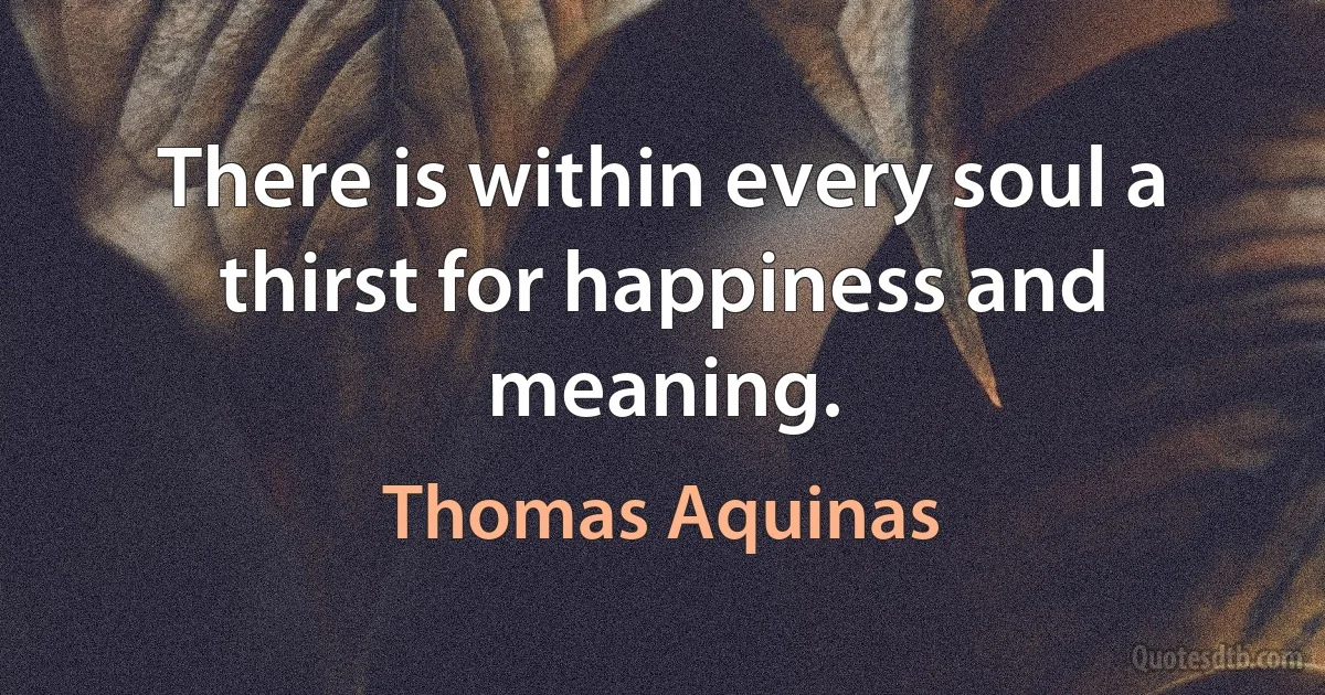 There is within every soul a thirst for happiness and meaning. (Thomas Aquinas)