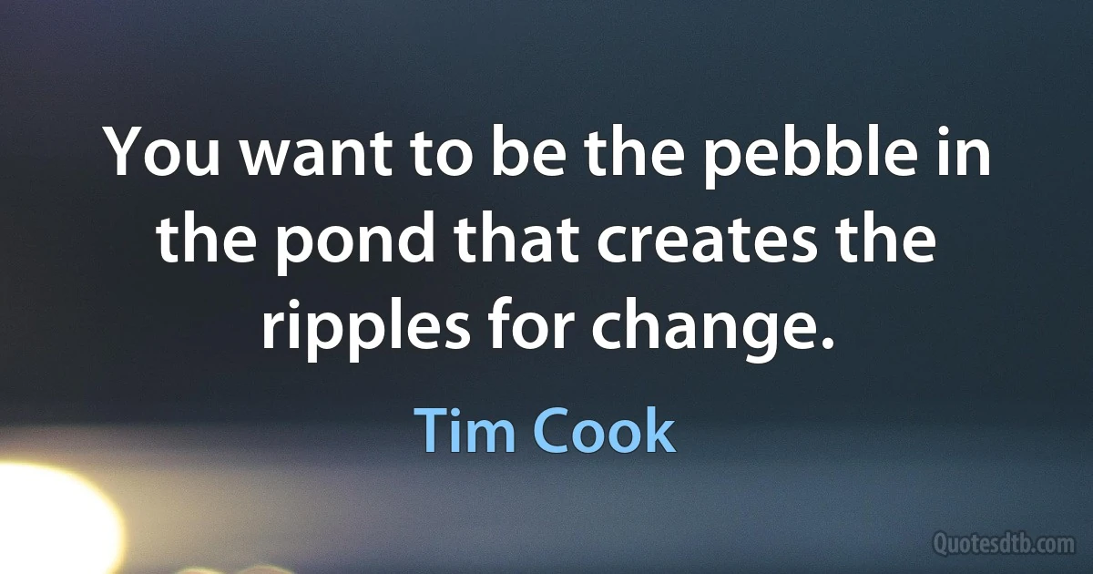 You want to be the pebble in the pond that creates the ripples for change. (Tim Cook)