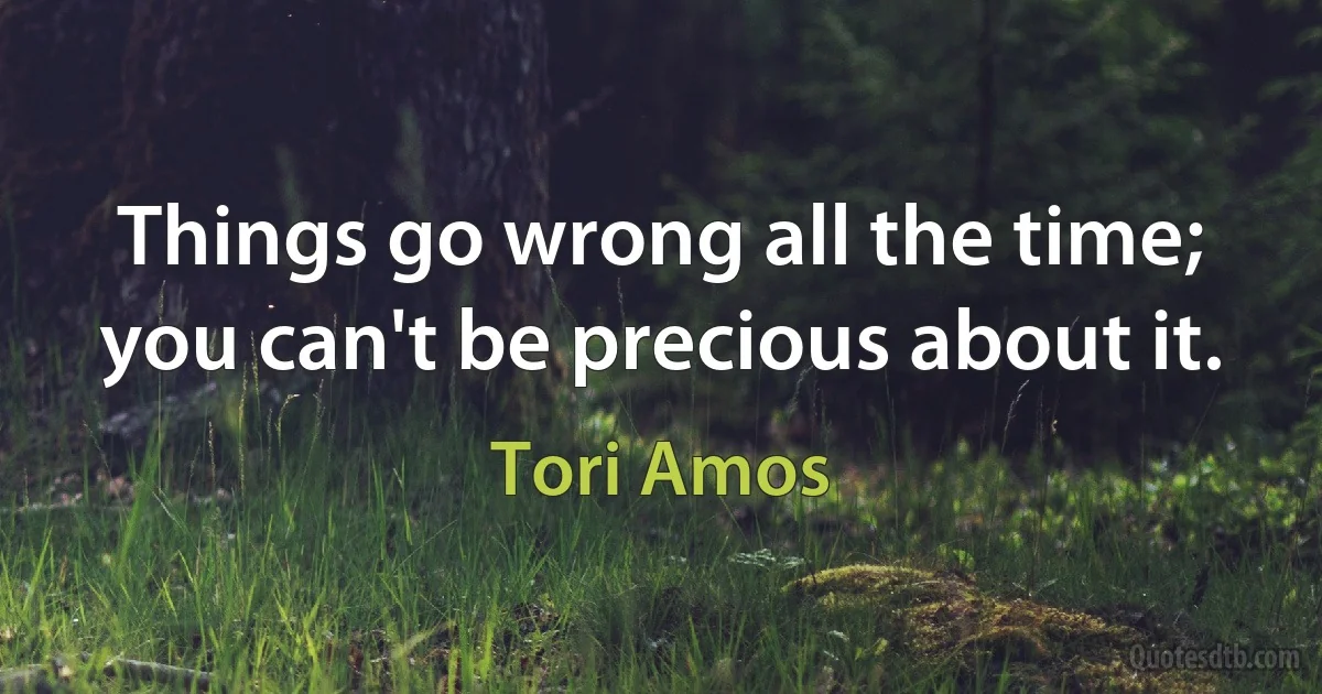 Things go wrong all the time; you can't be precious about it. (Tori Amos)