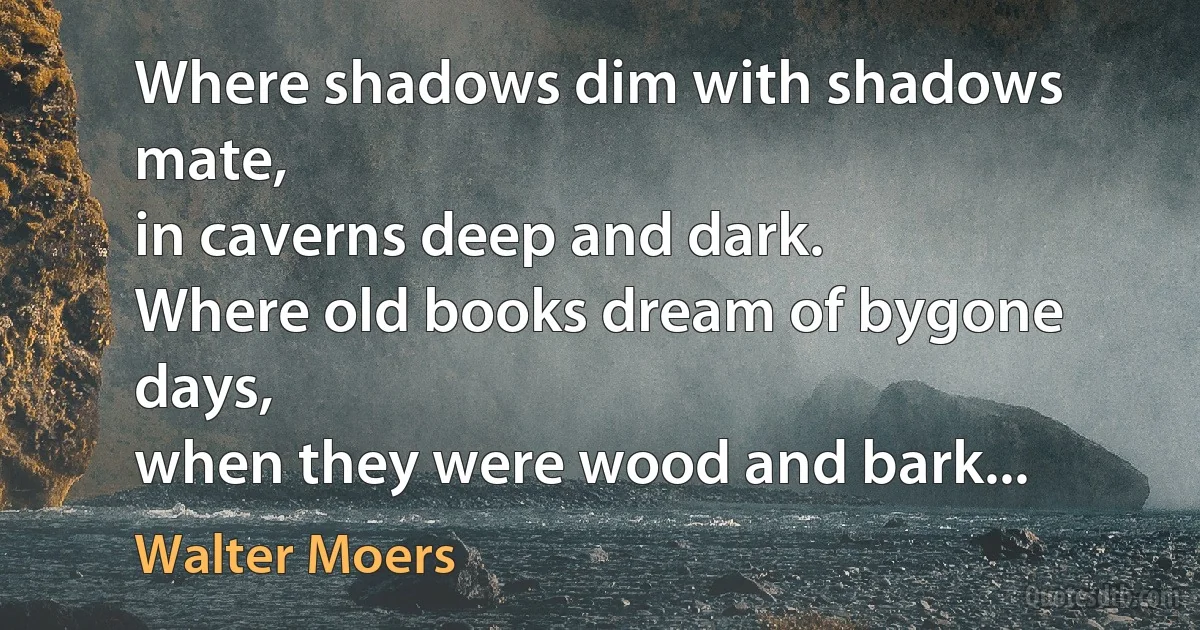 Where shadows dim with shadows mate,
in caverns deep and dark.
Where old books dream of bygone days,
when they were wood and bark... (Walter Moers)