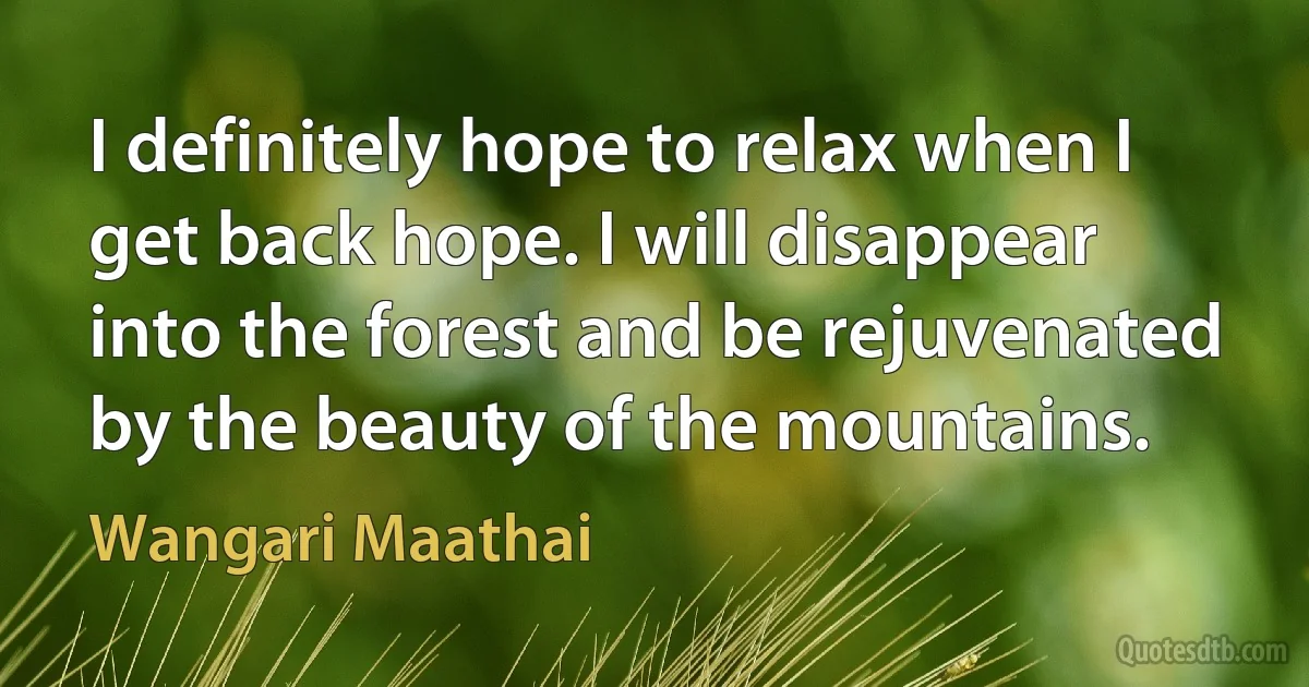 I definitely hope to relax when I get back hope. I will disappear into the forest and be rejuvenated by the beauty of the mountains. (Wangari Maathai)