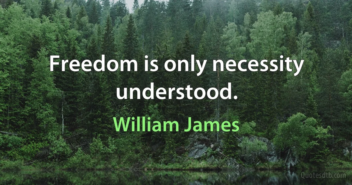 Freedom is only necessity understood. (William James)