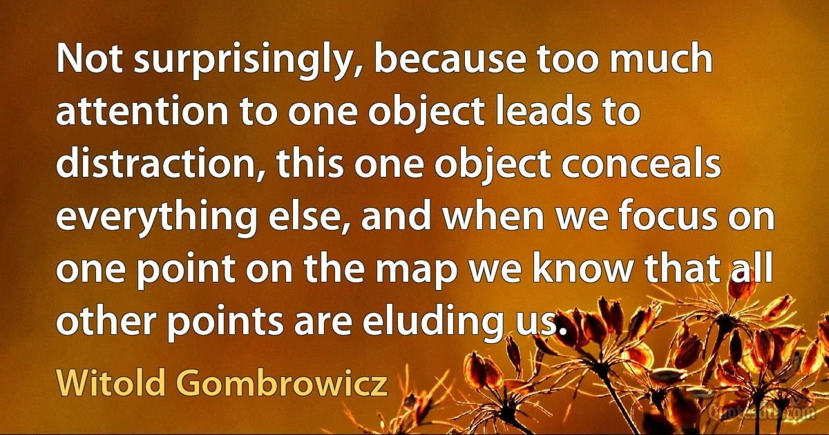 Not surprisingly, because too much attention to one object leads to distraction, this one object conceals everything else, and when we focus on one point on the map we know that all other points are eluding us. (Witold Gombrowicz)