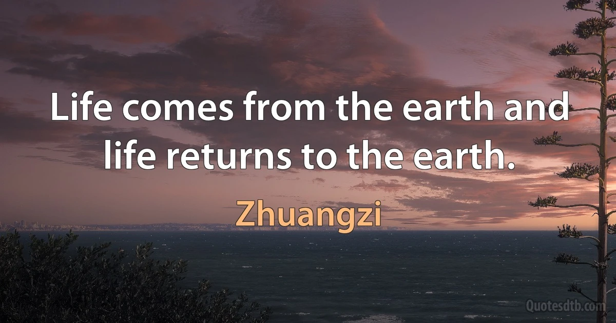 Life comes from the earth and life returns to the earth. (Zhuangzi)