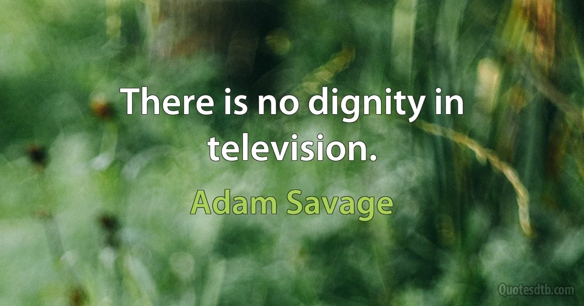 There is no dignity in television. (Adam Savage)