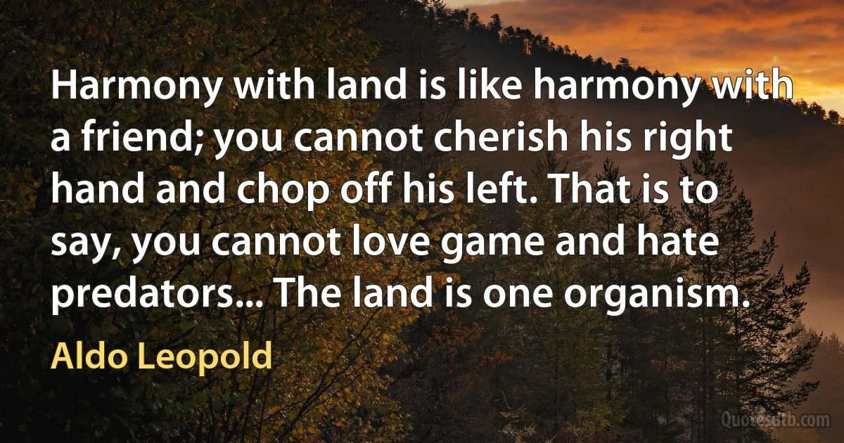 Harmony with land is like harmony with a friend; you cannot cherish his right hand and chop off his left. That is to say, you cannot love game and hate predators... The land is one organism. (Aldo Leopold)