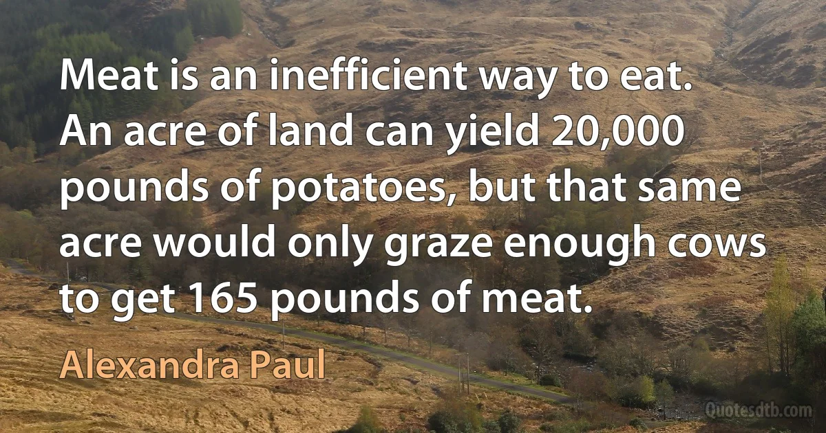 Meat is an inefficient way to eat. An acre of land can yield 20,000 pounds of potatoes, but that same acre would only graze enough cows to get 165 pounds of meat. (Alexandra Paul)