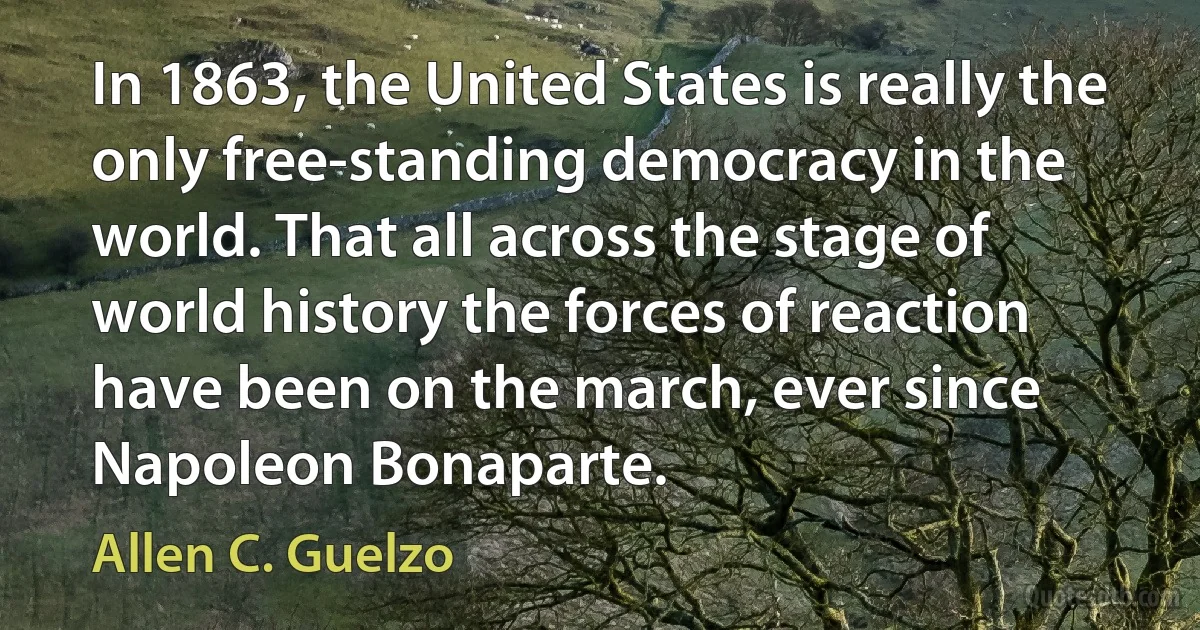 In 1863, the United States is really the only free-standing democracy in the world. That all across the stage of world history the forces of reaction have been on the march, ever since Napoleon Bonaparte. (Allen C. Guelzo)