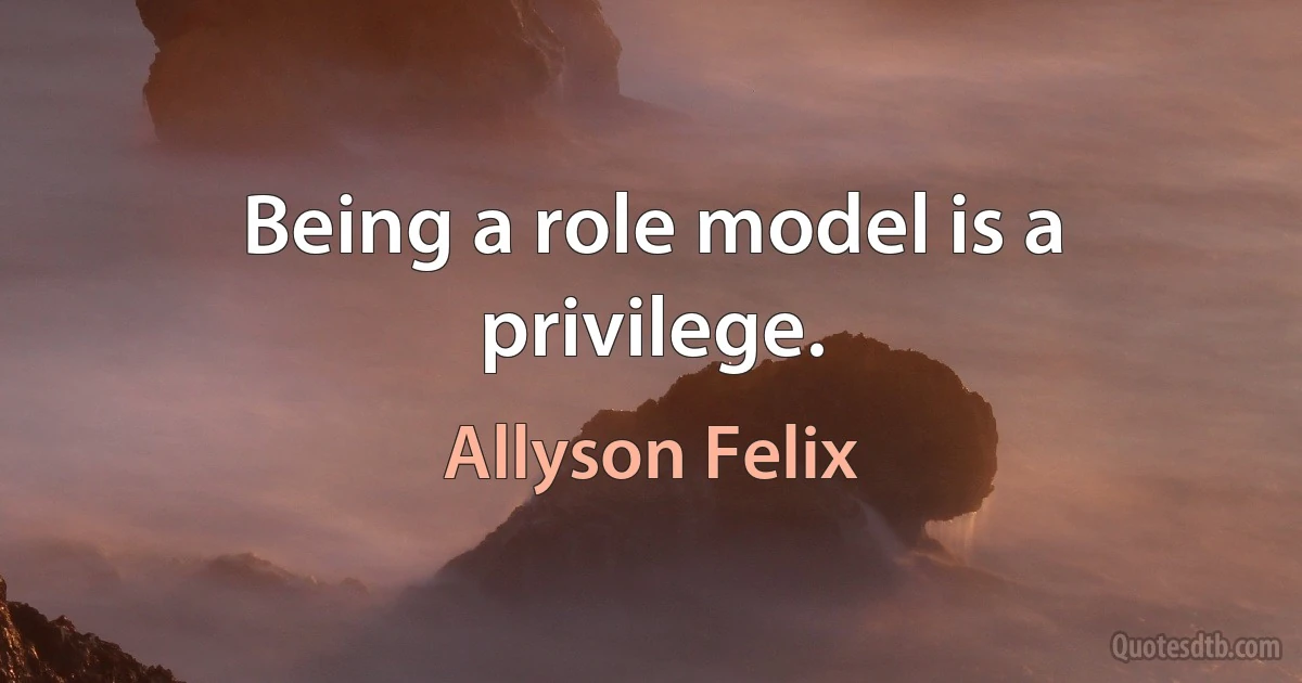 Being a role model is a privilege. (Allyson Felix)