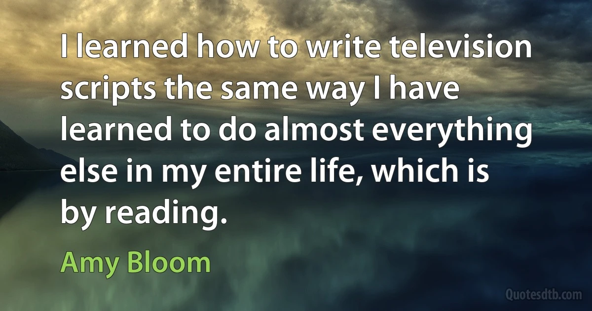 I learned how to write television scripts the same way I have learned to do almost everything else in my entire life, which is by reading. (Amy Bloom)