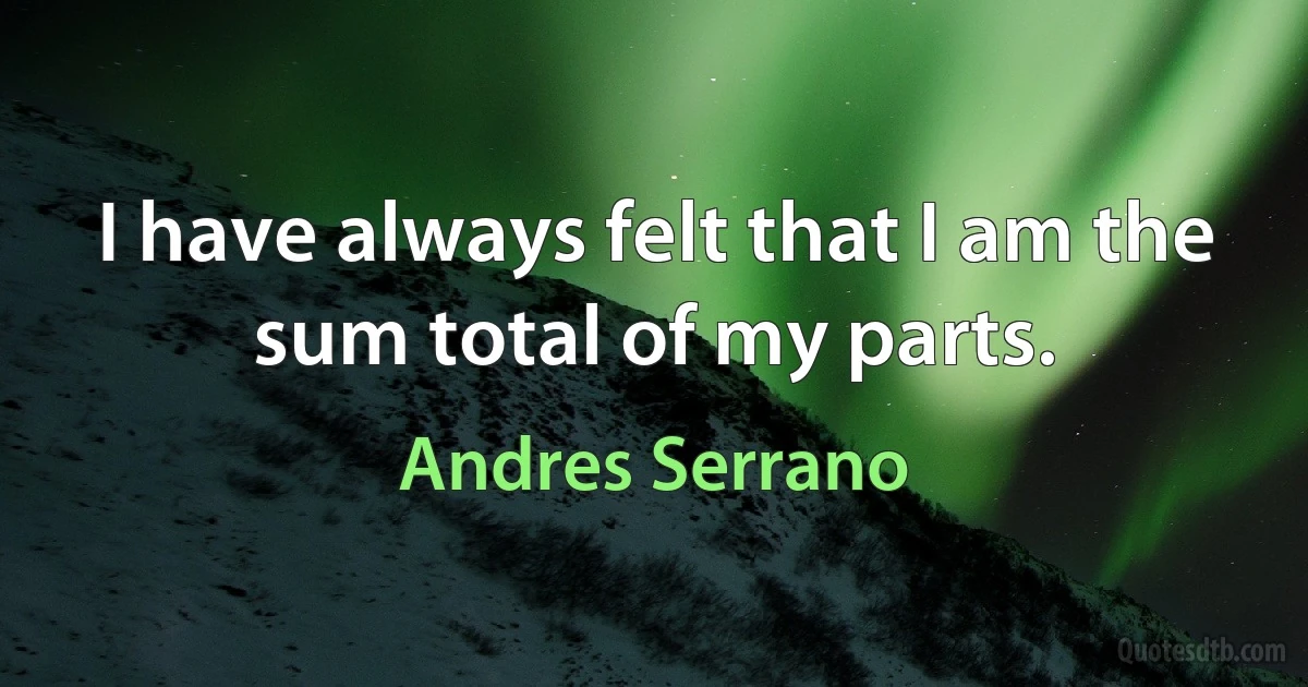 I have always felt that I am the sum total of my parts. (Andres Serrano)