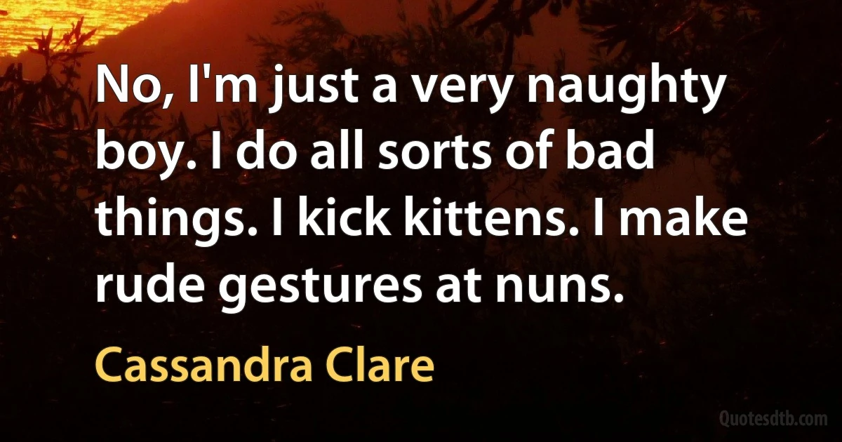 No, I'm just a very naughty boy. I do all sorts of bad things. I kick kittens. I make rude gestures at nuns. (Cassandra Clare)