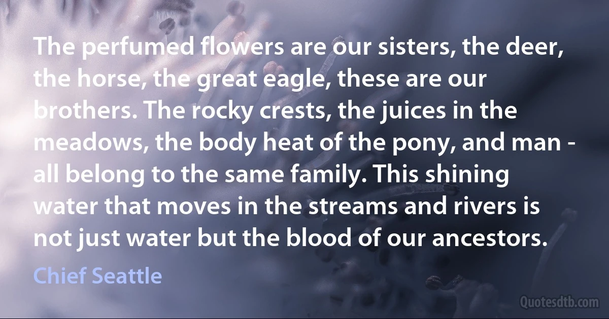 The perfumed flowers are our sisters, the deer, the horse, the great eagle, these are our brothers. The rocky crests, the juices in the meadows, the body heat of the pony, and man - all belong to the same family. This shining water that moves in the streams and rivers is not just water but the blood of our ancestors. (Chief Seattle)