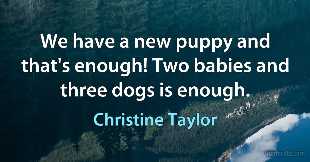 We have a new puppy and that's enough! Two babies and three dogs is enough. (Christine Taylor)