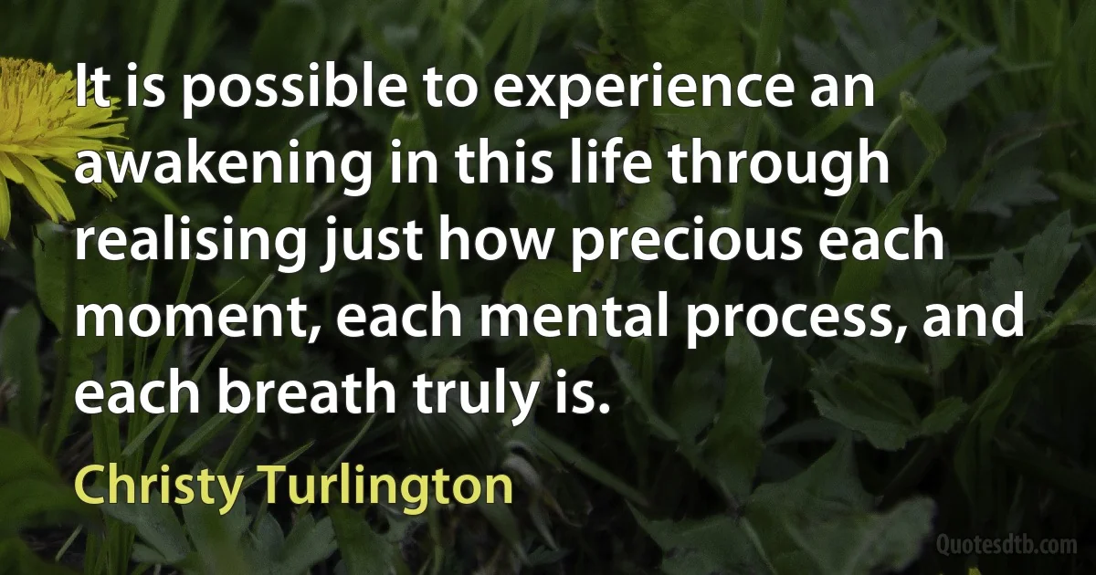 It is possible to experience an awakening in this life through realising just how precious each moment, each mental process, and each breath truly is. (Christy Turlington)