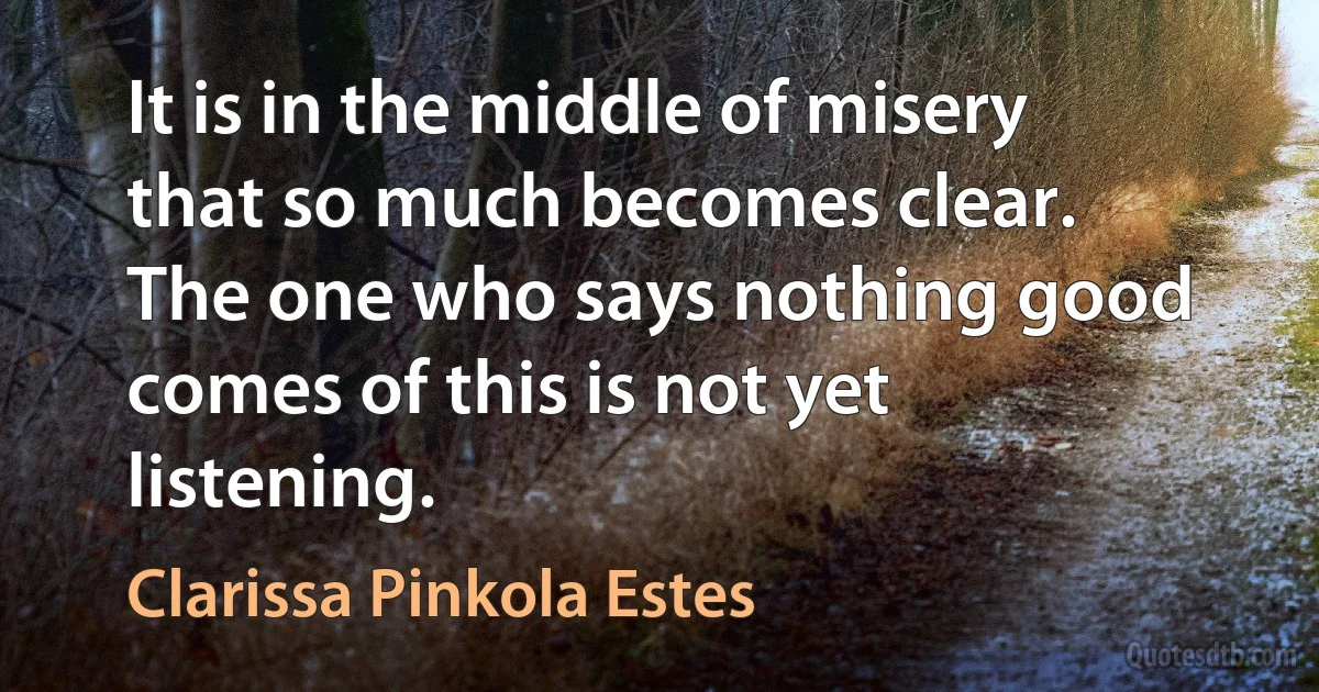 It is in the middle of misery that so much becomes clear. The one who says nothing good comes of this is not yet listening. (Clarissa Pinkola Estes)