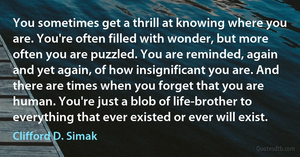 You sometimes get a thrill at knowing where you are. You're often filled with wonder, but more often you are puzzled. You are reminded, again and yet again, of how insignificant you are. And there are times when you forget that you are human. You're just a blob of life-brother to everything that ever existed or ever will exist. (Clifford D. Simak)