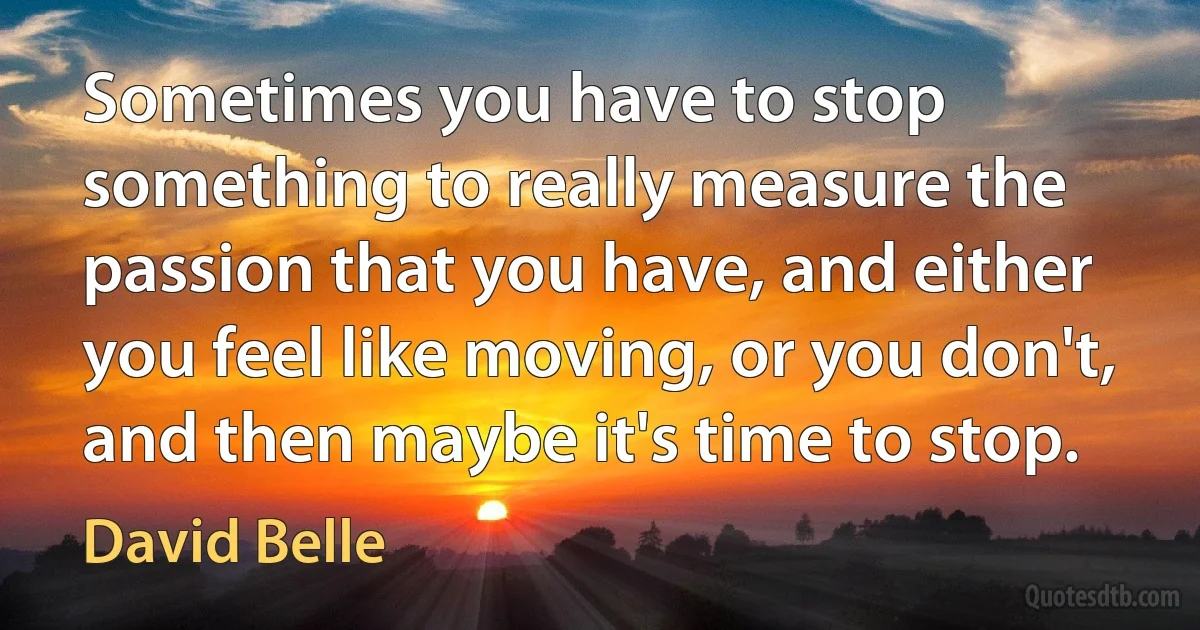 Sometimes you have to stop something to really measure the passion that you have, and either you feel like moving, or you don't, and then maybe it's time to stop. (David Belle)