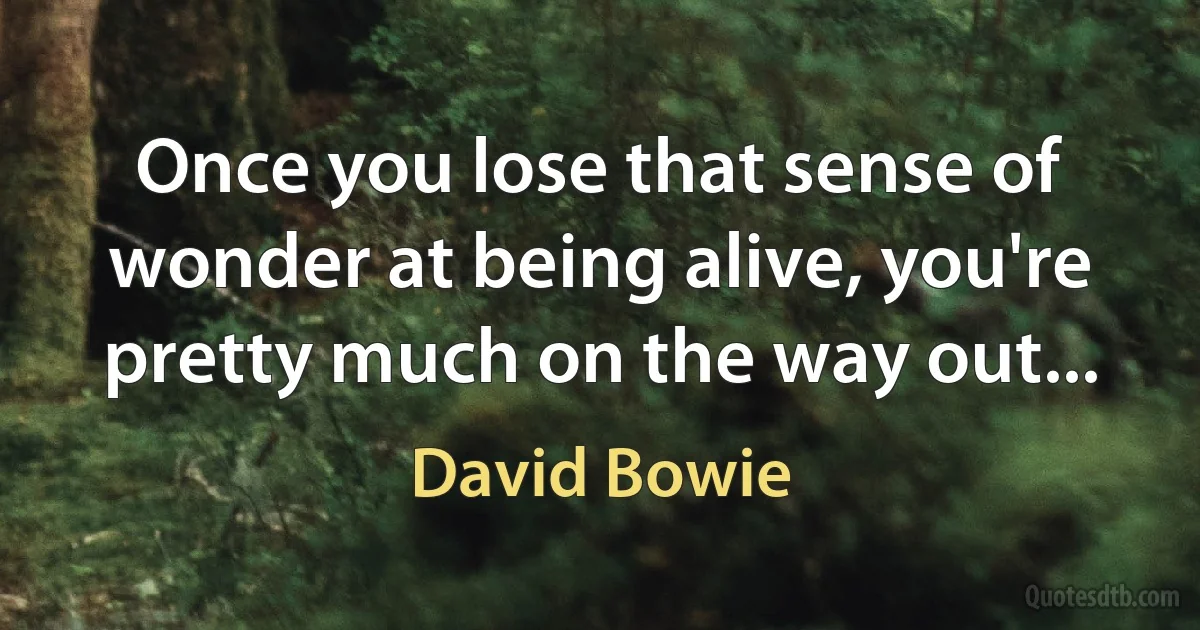 Once you lose that sense of wonder at being alive, you're pretty much on the way out... (David Bowie)